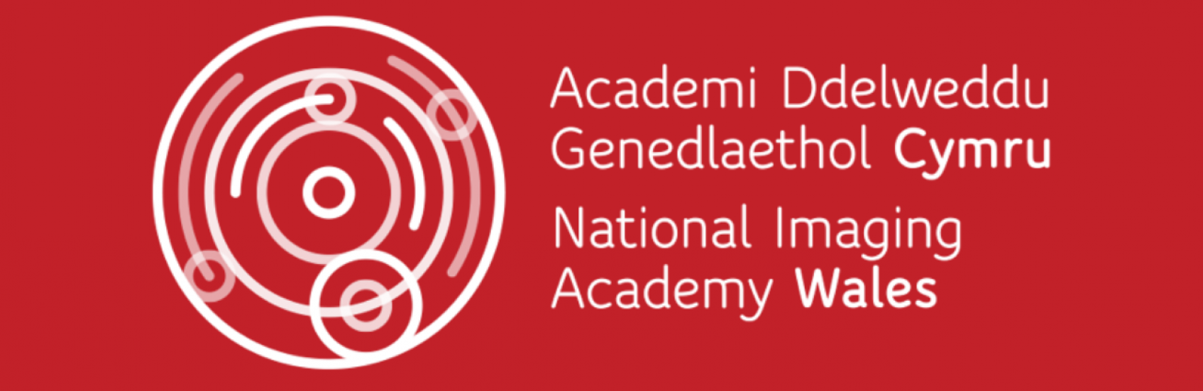 National Imaging Academy Logo