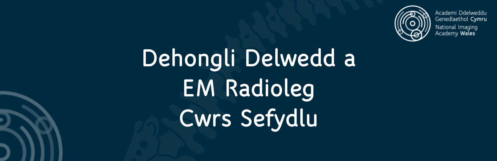 Dehongli Delwedd a EM Radioleg Cwrs Sefydlu