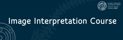 Image Interpretation Course 2022