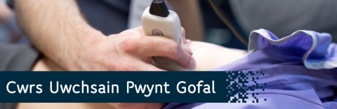 PoCUs Welsh